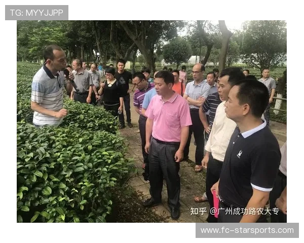 足球裁判在基层推广中建立案例库、导师制与在线复训并行培养体系